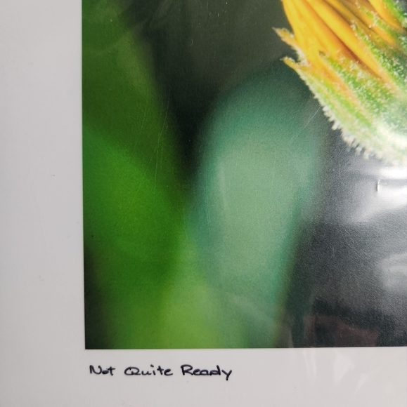 Korbin Berg Mount Horeb, WI Fine Art Photographer/Nature Print 8.5x11" - Picture 4 of 6